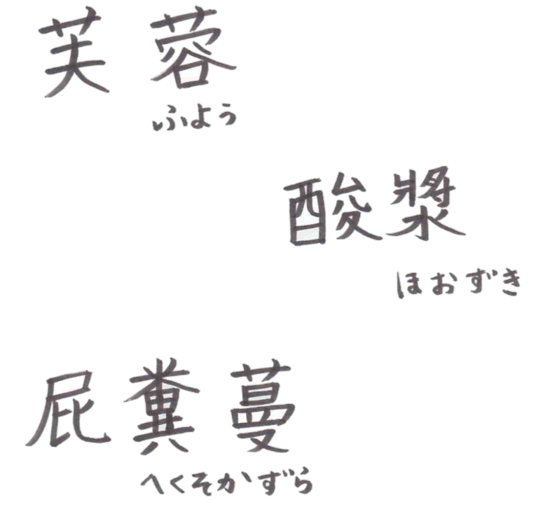 植物の漢字 は行 難しい漢字 読み方 備忘録